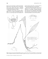  no thumbnail available