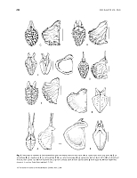  no thumbnail available