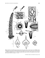  no thumbnail available