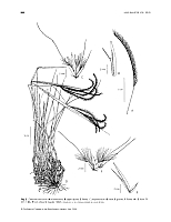  no thumbnail available