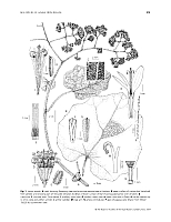  no thumbnail available