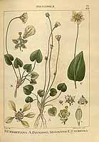  no thumbnail available