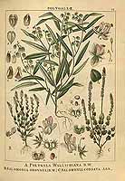  no thumbnail available