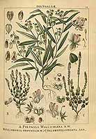  no thumbnail available