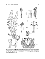  no thumbnail available