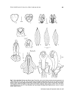  no thumbnail available