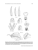  no thumbnail available