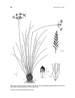  no thumbnail available