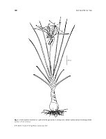  no thumbnail available