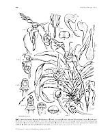  no thumbnail available