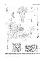  no thumbnail available