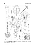  no thumbnail available