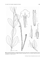  no thumbnail available