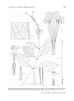  no thumbnail available