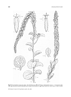  no thumbnail available