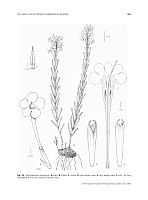  no thumbnail available