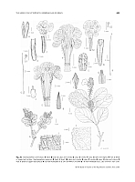  no thumbnail available