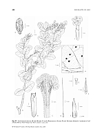  no thumbnail available