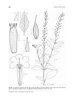  no thumbnail available