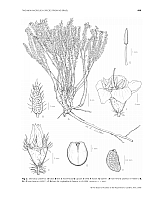  no thumbnail available