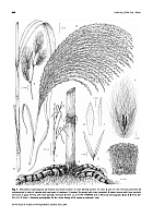  no thumbnail available