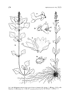  no thumbnail available