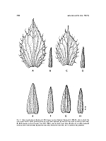  no thumbnail available