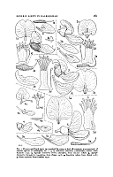  no thumbnail available