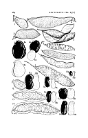  no thumbnail available