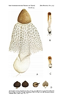  no thumbnail available