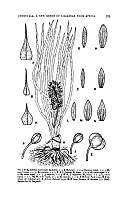  no thumbnail available