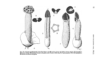  no thumbnail available