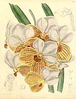  no thumbnail available