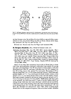  no thumbnail available