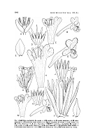  no thumbnail available