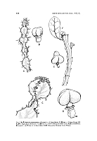  no thumbnail available