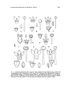  no thumbnail available