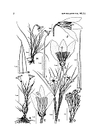  no thumbnail available