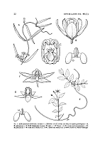  no thumbnail available