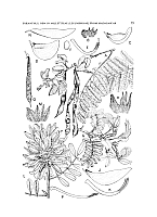  no thumbnail available