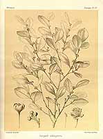  no thumbnail available