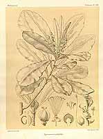  no thumbnail available