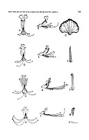  no thumbnail available