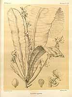  no thumbnail available