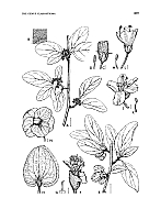  no thumbnail available