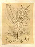  no thumbnail available