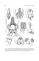  no thumbnail available