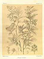  no thumbnail available