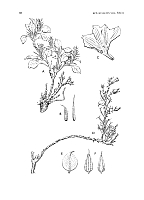  no thumbnail available