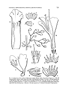  no thumbnail available